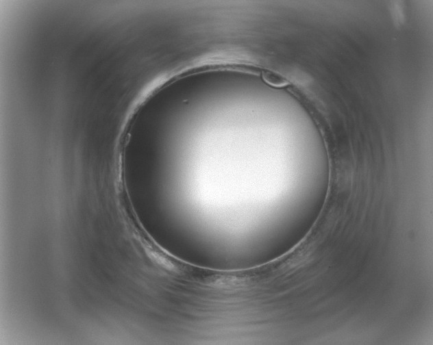 X0000067331366200604030922