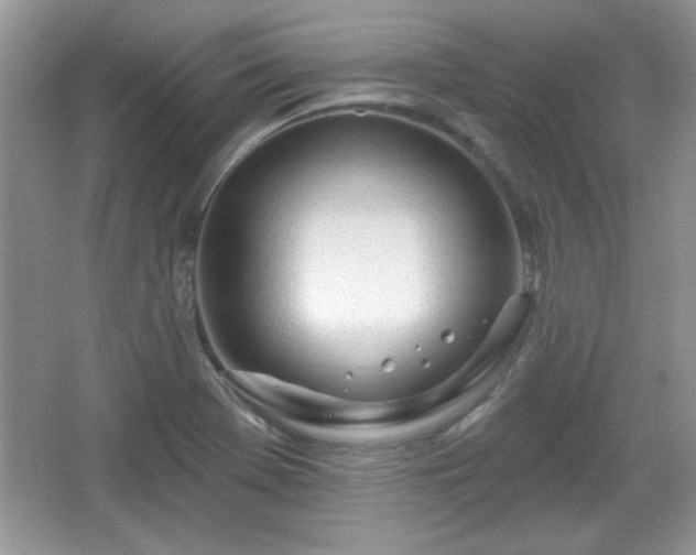 X0000067331369200604030922