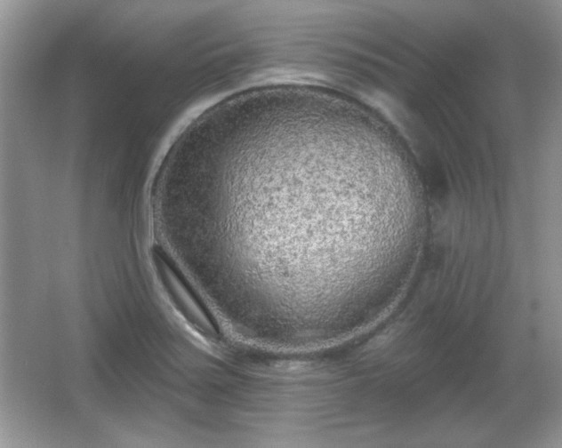 X0000067331371200604030922