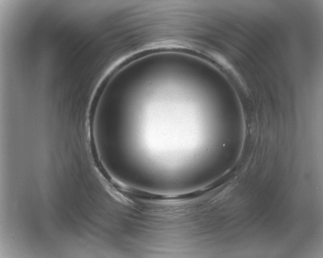 X0000067331372200604030922