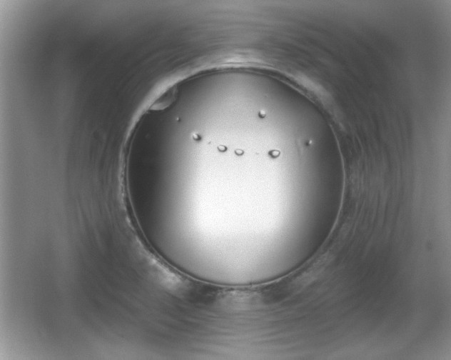 X0000067331374200604030922
