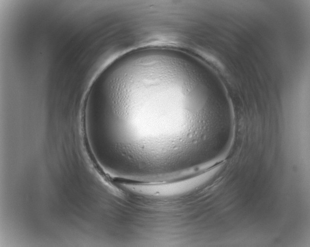 X0000067331375200604030922