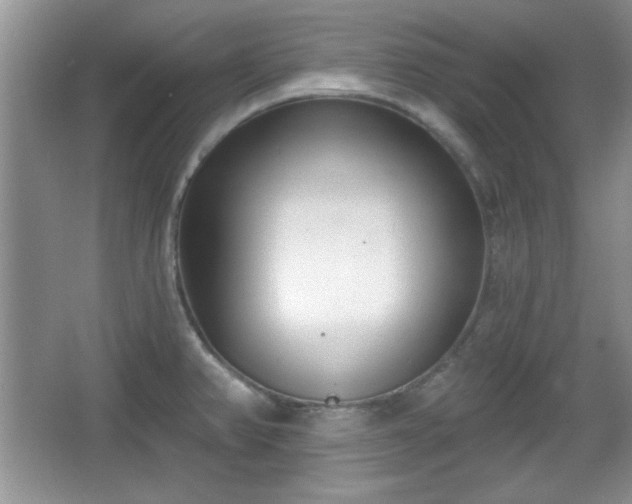 X0000067331382200604030922