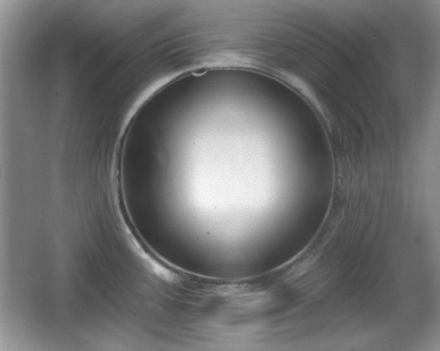 X0000067331387200604030922