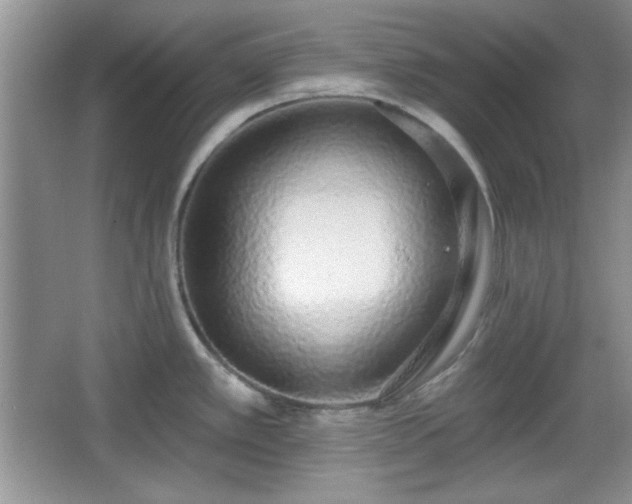 X0000067331389200604030922