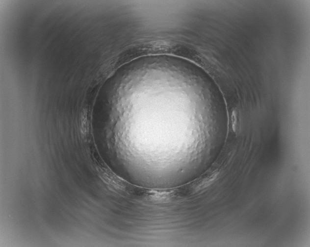 X0000067331395200604030921