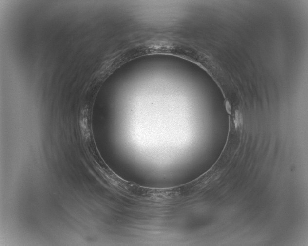 X0000067331396200604030921