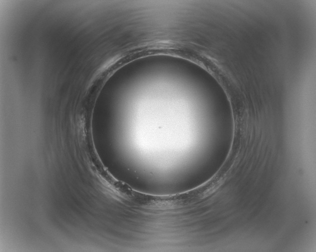X0000067331402200604030921