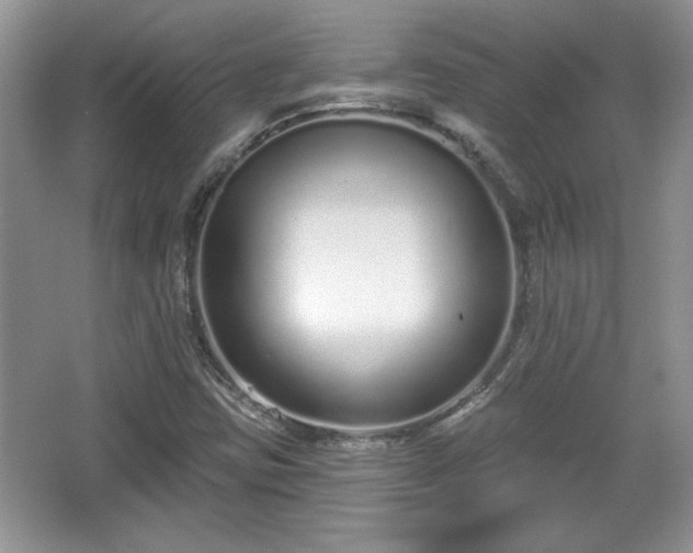 X0000067331403200604030921