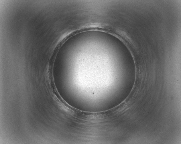 X0000067331404200604030921