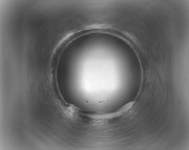 X0000067331406200604030921