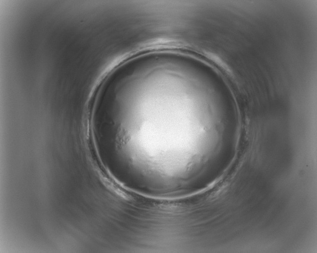 X0000067331413200604030921