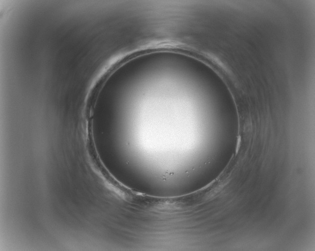 X0000067331414200604030921