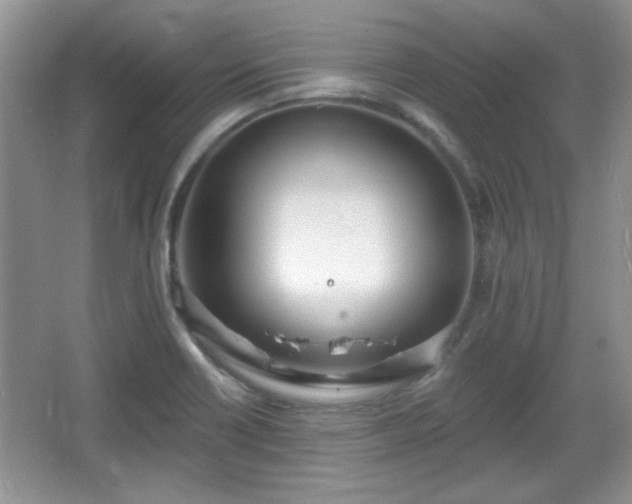 X0000067331418200604030921