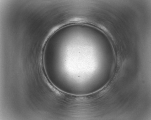 X0000067331421200604030921