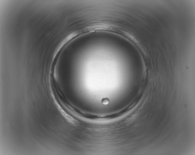 X0000067331426200604030921