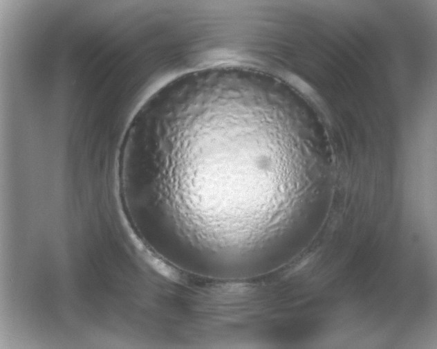 X0000067331431200604030922