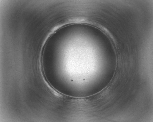 X0000067331432200604030922