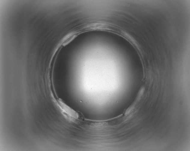 X0000067331434200604030922