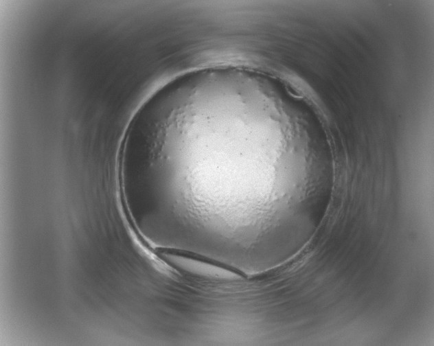 X0000067331439200604030922