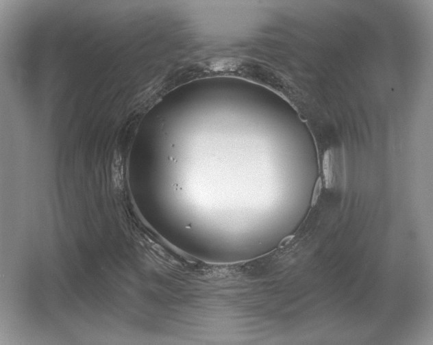 X0000067331443200604030921