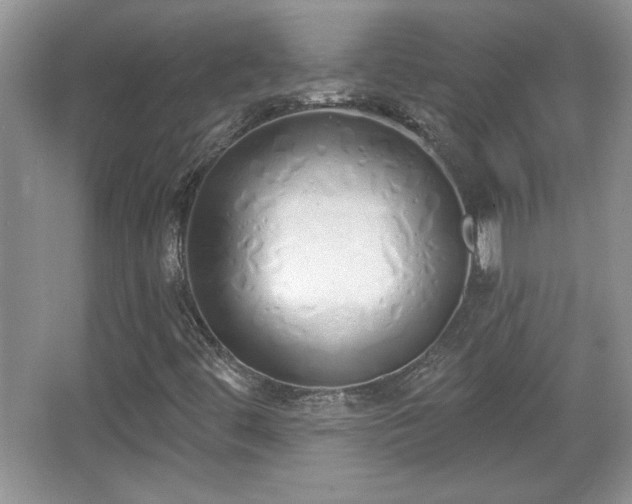 X0000067331444200604030921
