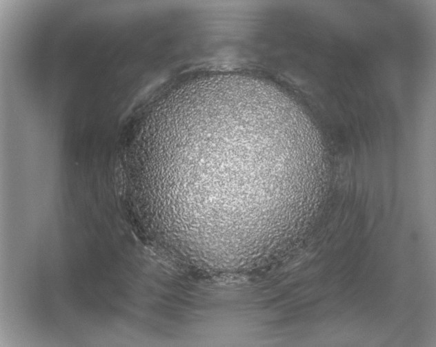 X0000067331446200604030921