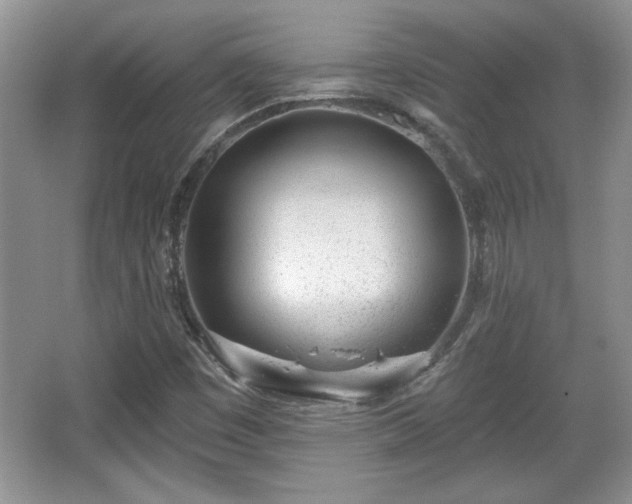 X0000067331449200604030921