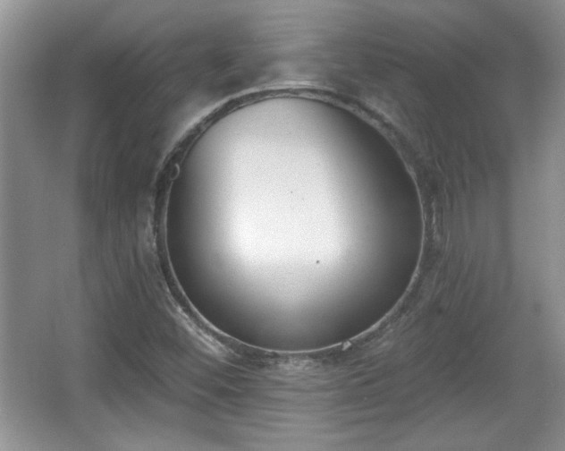 X0000067331452200604030921