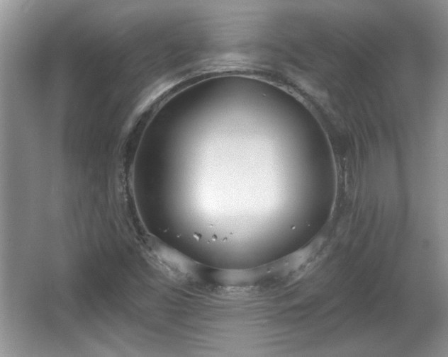 X0000067331453200604030921