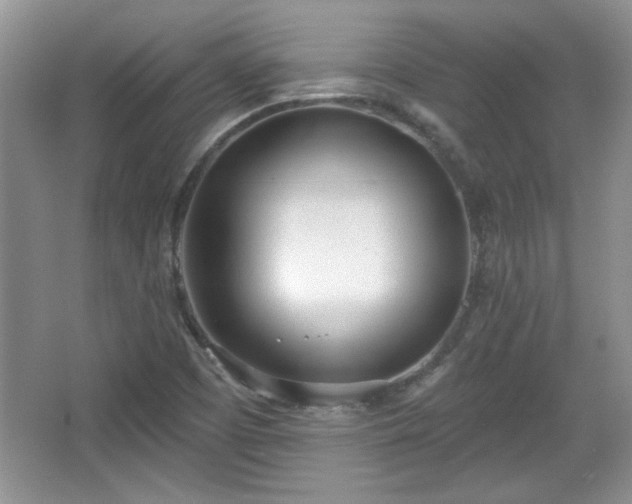 X0000067331457200604030921