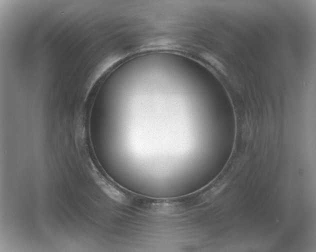 X0000067331458200604030921