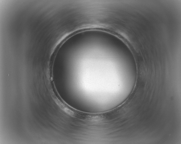 X0000067331460200604030921