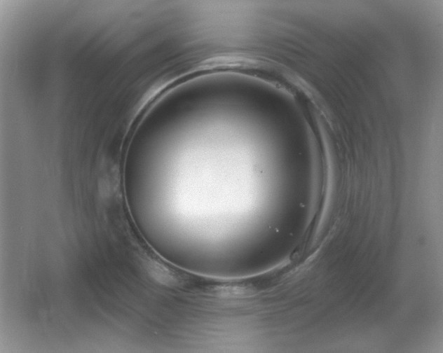 X0000067331465200604030921