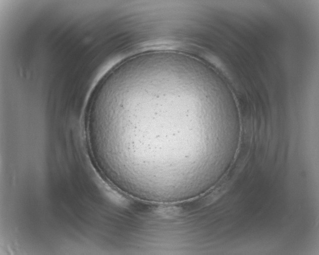 X0000067331466200604030920