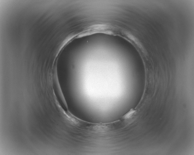 X0000067331473200604030920
