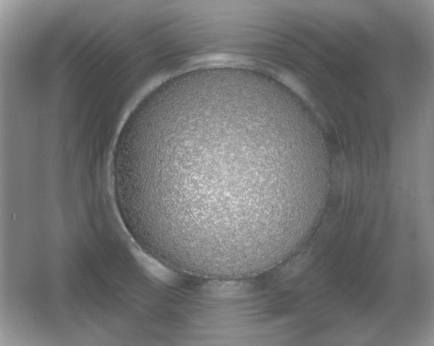 X0000067331474200604030920