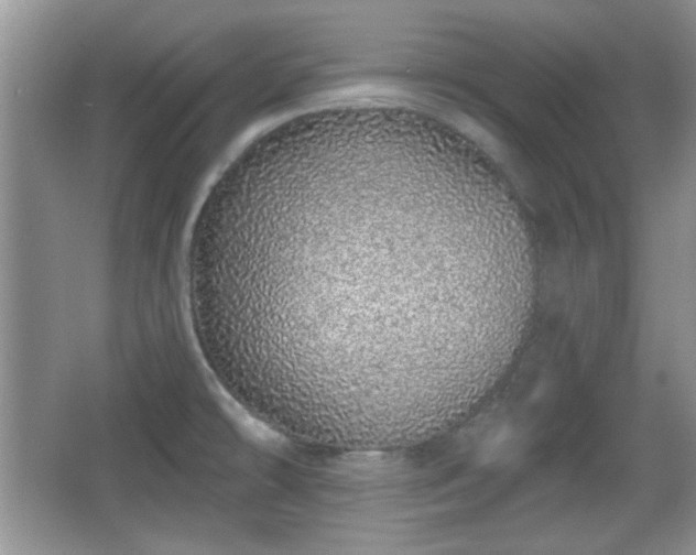 X0000067331478200604030920