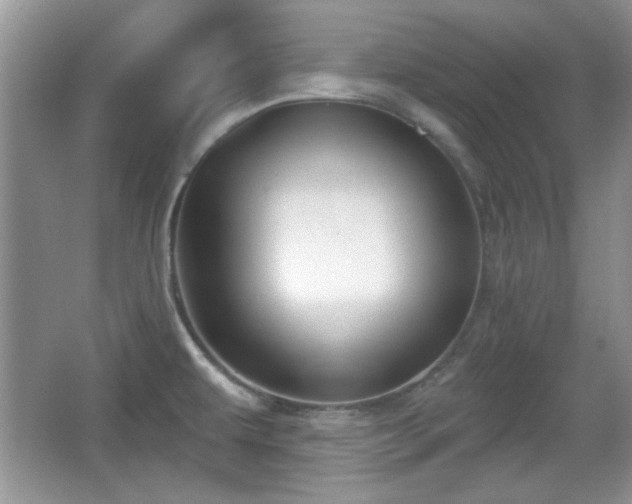 X0000067331479200604030920