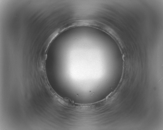 X0000067331481200604030920