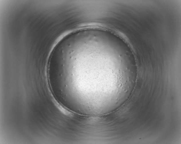 X0000067331482200604030920