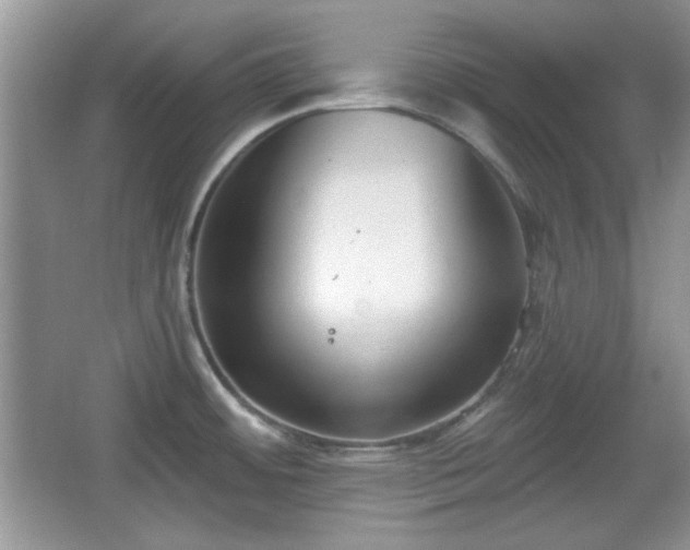 X0000067331484200604030920