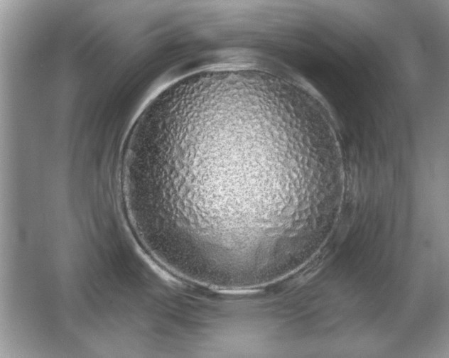 X0000067331487200604030920