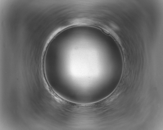 X0000067331488200604030920