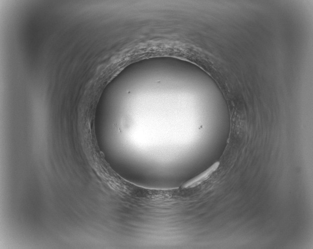 X0000067331489200604030919