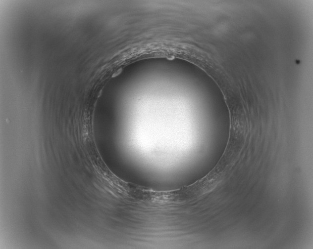 X0000067331490200604030919