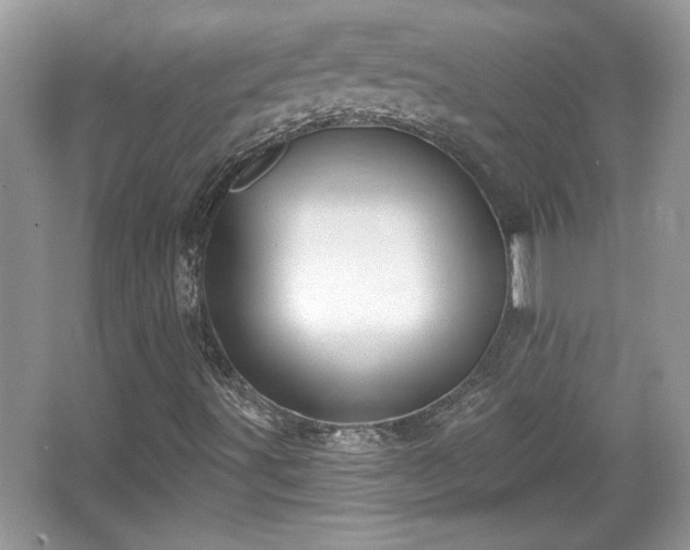 X0000067331491200604030919