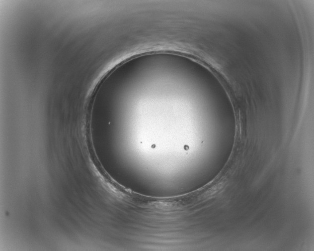 X0000067331500200604030920