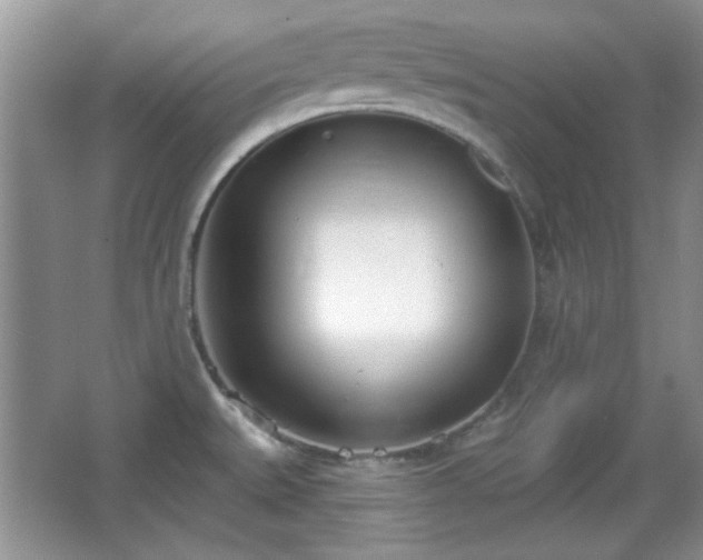 X0000067331527200604030920