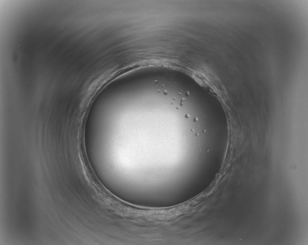 X0000067330001200604071337